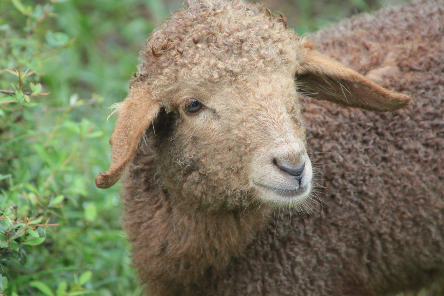 Unusual and beautiful