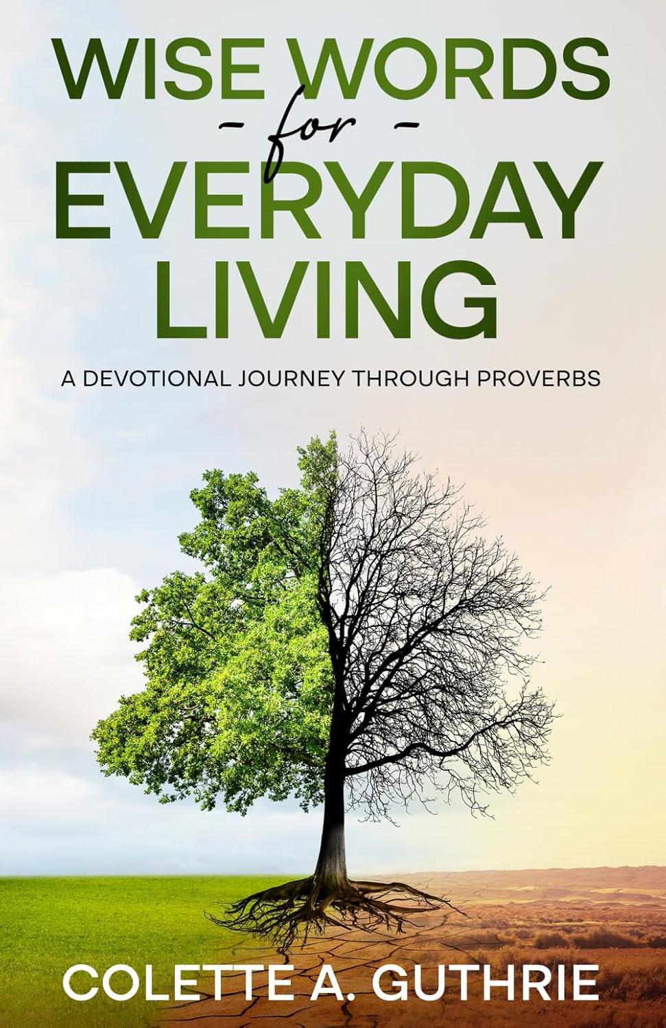 Wise Words for Everyday Living: A Devotional Journey Through Proverbs